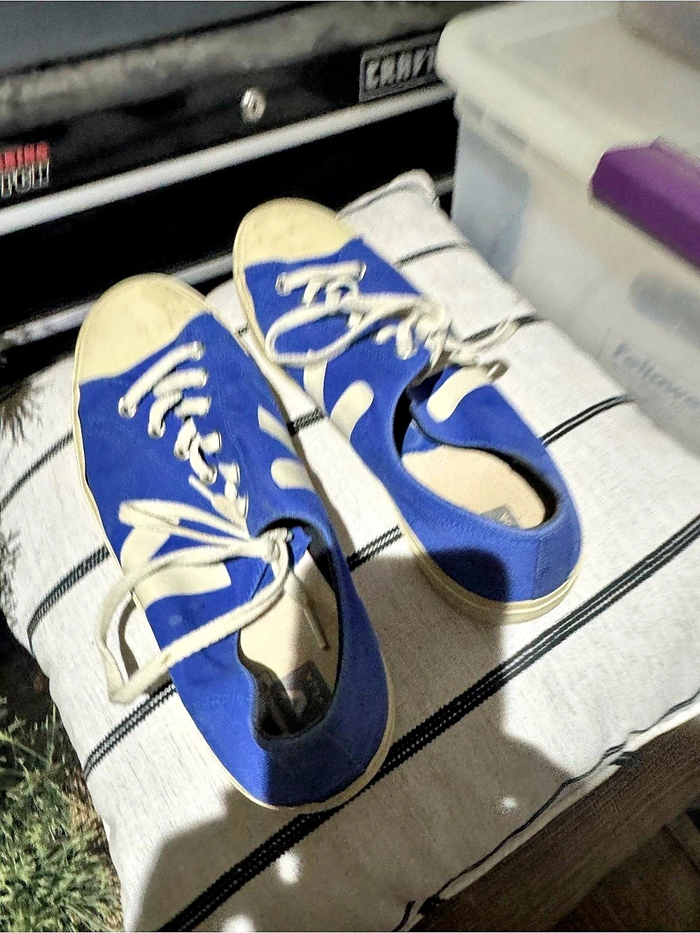Veja Old Skool Blue & White Sneakers US 11.5